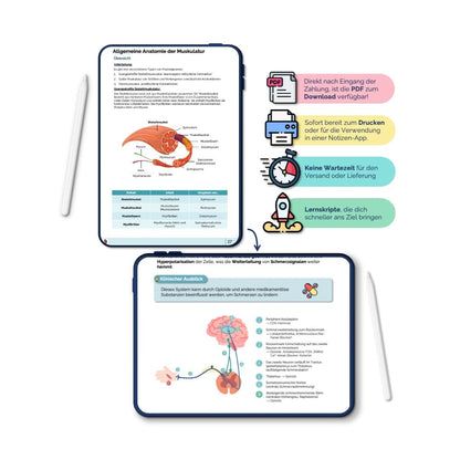 Physiologie-Skript (Teil 3)