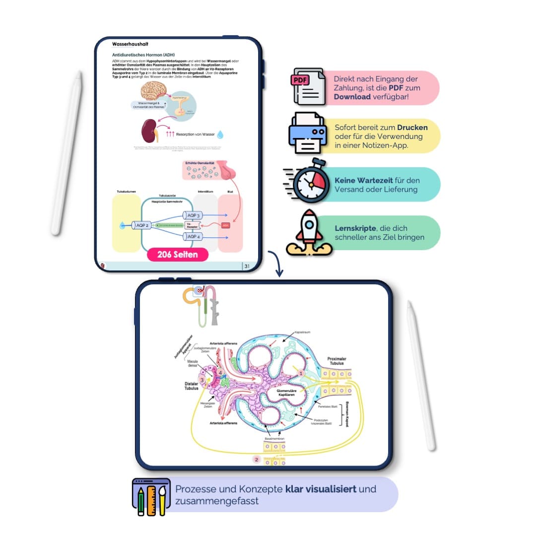 Physiologie PDF