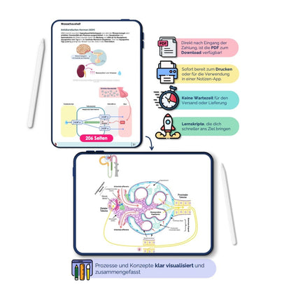 Physiologie PDF