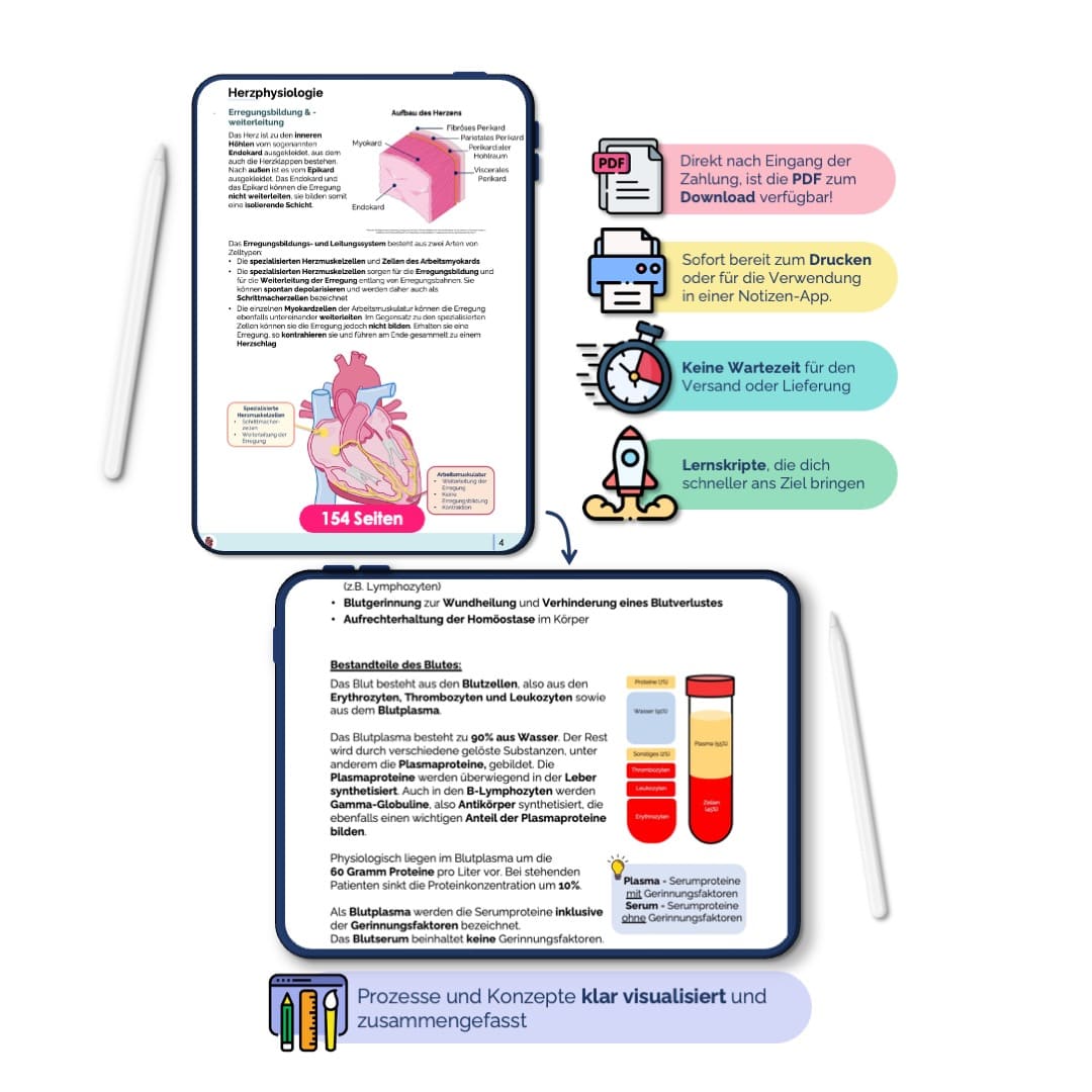 Physiologie PDF