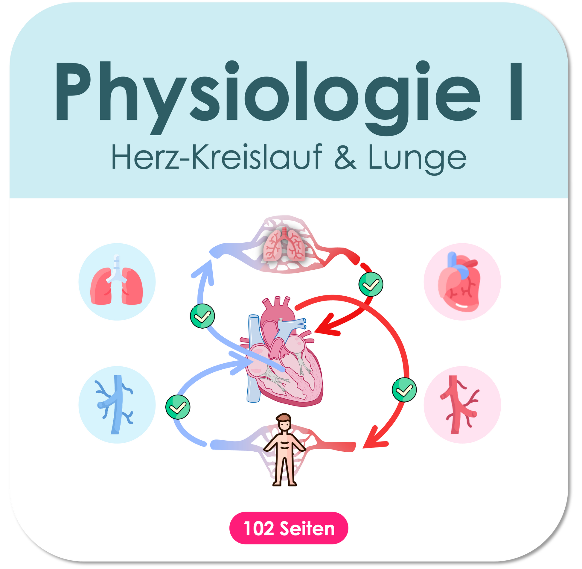 Physiologie-Skript