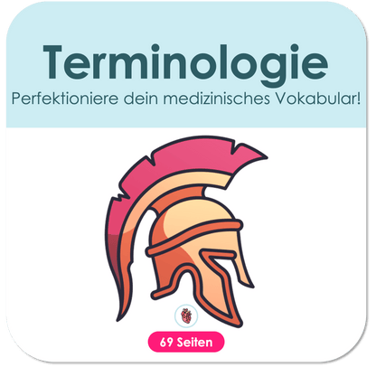 Terminologie Skript