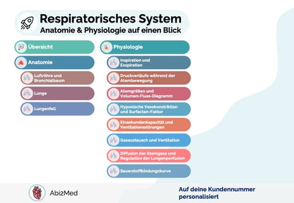 Respiratorisches System (Anatomie & Physiologie) - Lernkarten