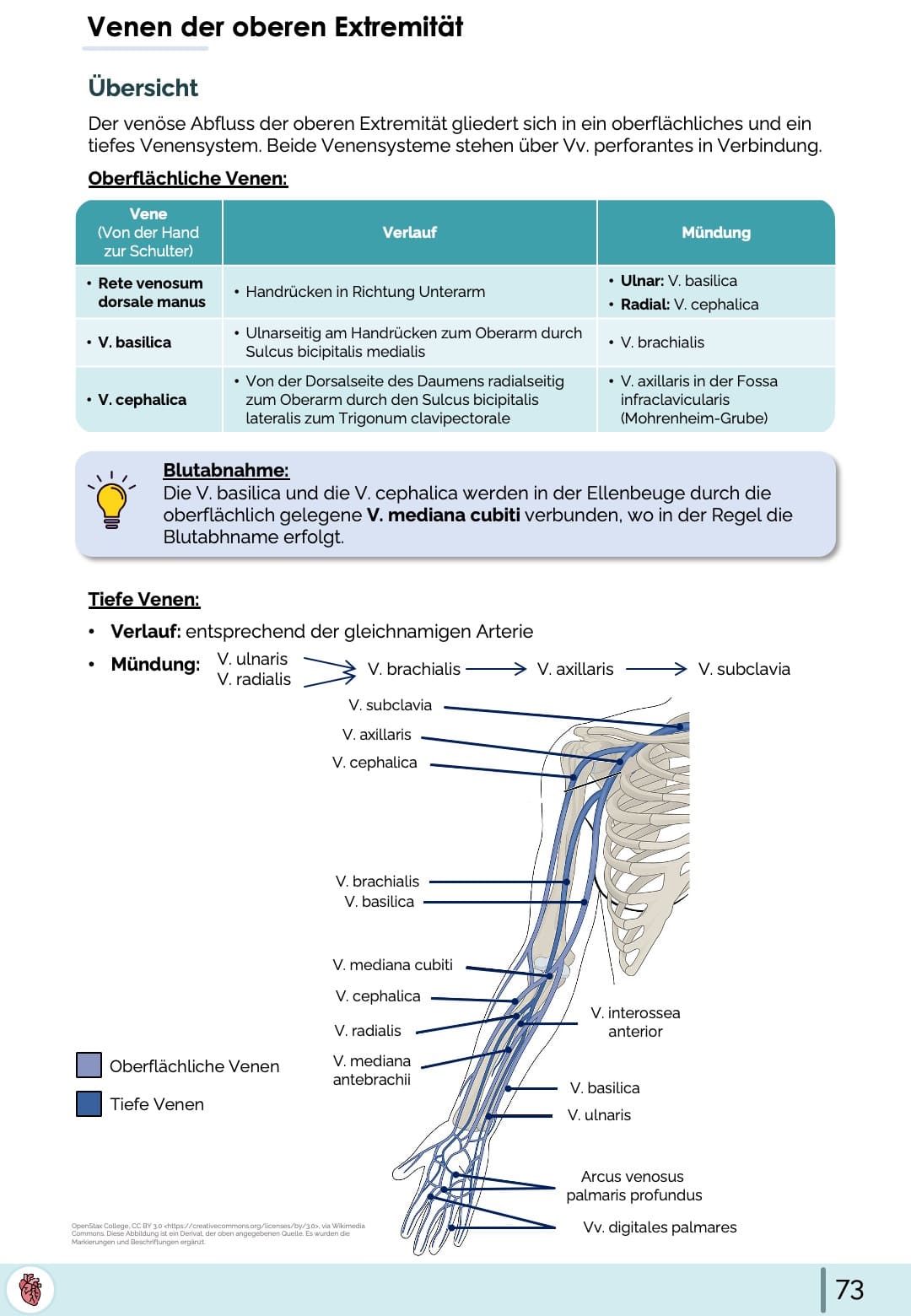 Anatomie-Skript - Allgemeine Anatomie und Bewegungsapparat