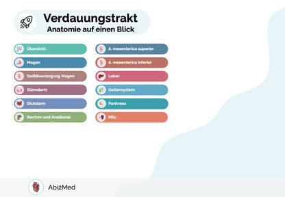 Anatomie Verdauungstrakt