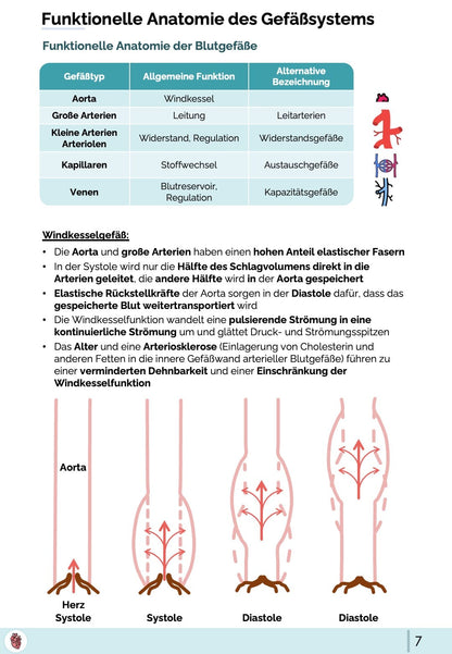 Windkesselgefäß