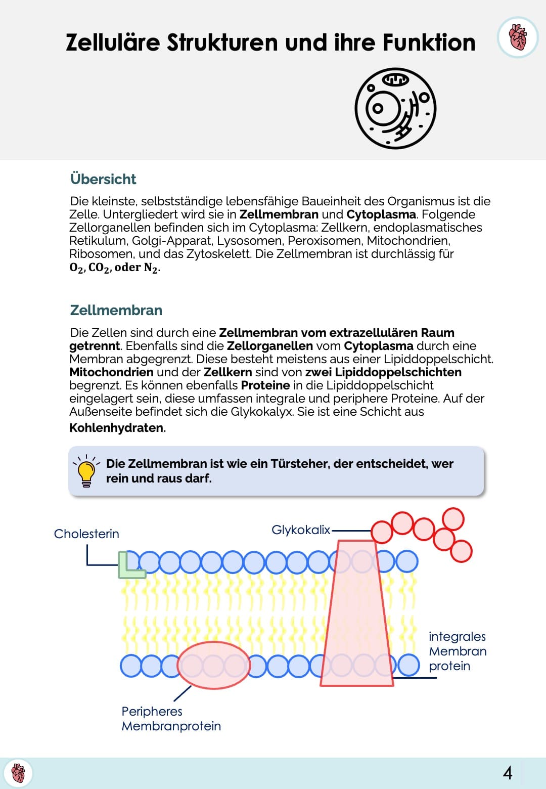 Biologie-Skript