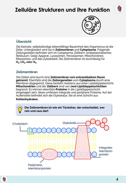 Biologie-Skript