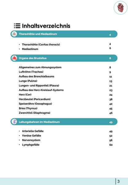 Anatomie-Skript - Thoraxorgane