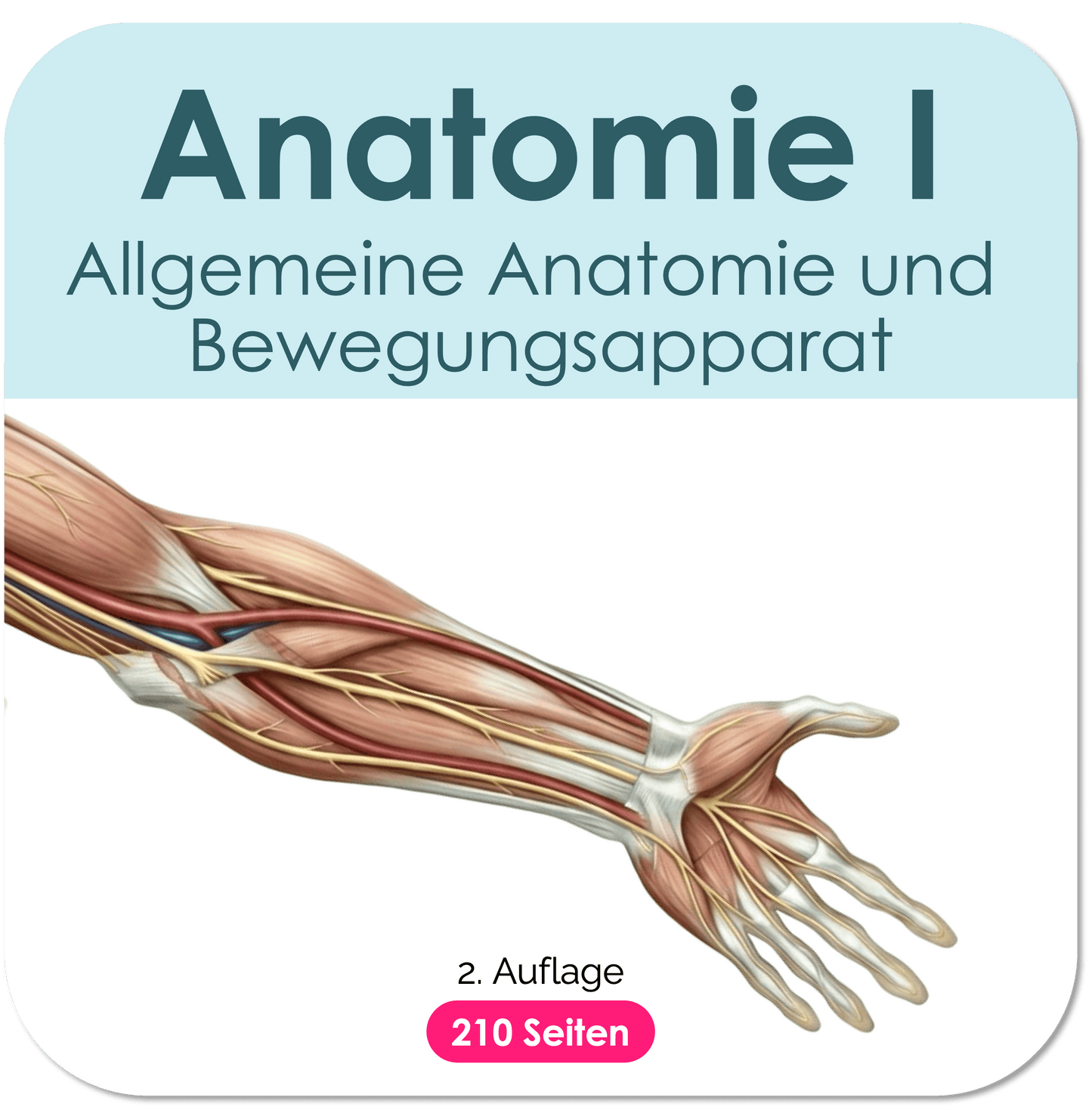 Anatomie-Skript - Allgemeine Anatomie und Bewegungsapparat