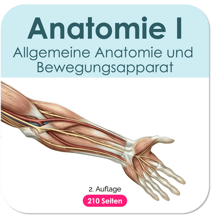Anatomie-Skript - Allgemeine Anatomie und Bewegungsapparat